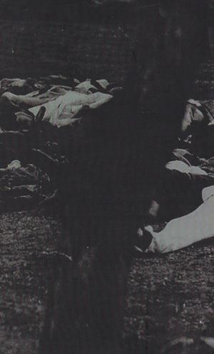 Gonohatya, গণহত্যা